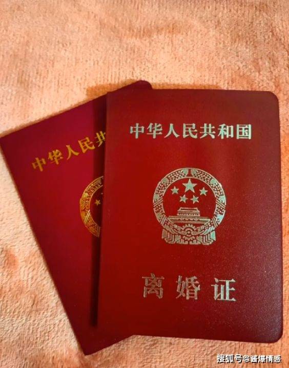 本地证件制作入门:从零开始掌握核心办理要点