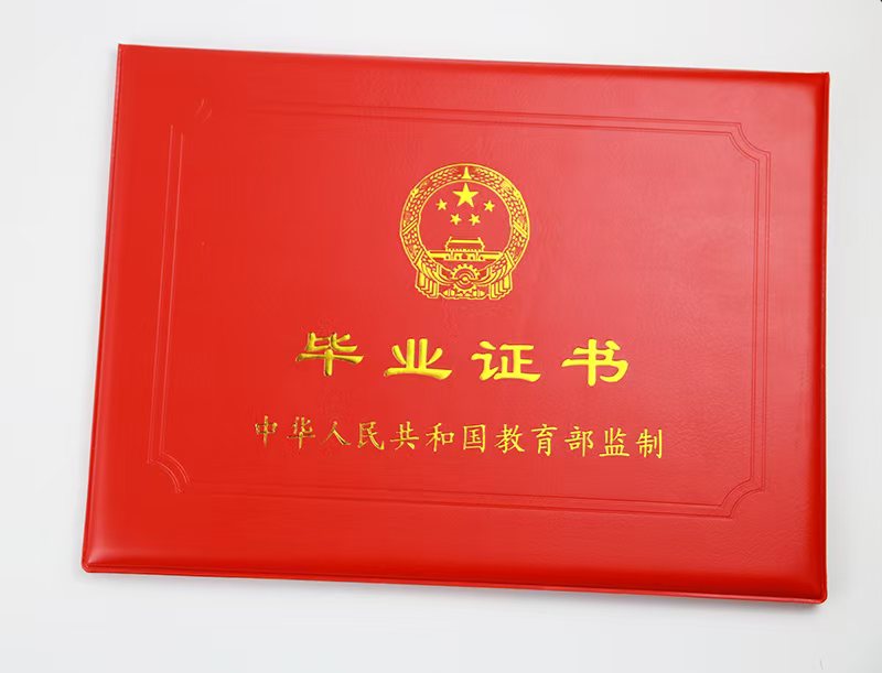 本地证件制作入门:从零开始掌握核心办理要点